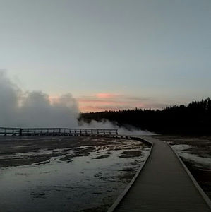 Meet your Posher, Claire anne